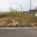 영림화학 이미지