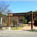 왕곡마을저잣거리 티스토리