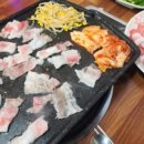 33한돼지 이미지