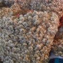 인왕시장 이미지