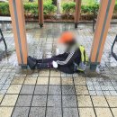 대천어린이공원 이미지