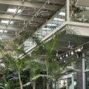 동남원IC진입로 | 파주 대형 카페 문지리535 | 식물원 뷰와 힐링이 공존하는 내돈내산 솔직 후기