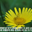 [성경필사] 약한 나로 강하게 _ 2024.08.05 _ 월요일에 주신 말씀 이미지