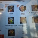 돈묵자 | 김해) 봉황동 정갈한 한끼, 봉리단길 사케동맛집 밥묵자