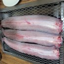 대신공원 관리사무실 뒤 이미지