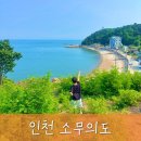 쌍화슈퍼 | 소무의도 물때 10분이면 충분한 둘레길
