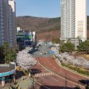 매천화성파크드림 삼거리 이미지