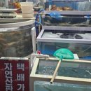 선옥회수산