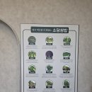 포항우렁이농장 네이버블로그