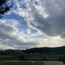 대진오리 이미지