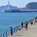 감천유통 - 사상구 | 감천유통