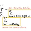 카니 p. 373 / Restrictive ve Non-restrictive relatives 트리 구조 질문 이미지