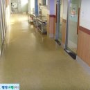 영림초등학교 이미지