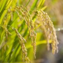 지에스리테일(GS25)(당진시) 이미지