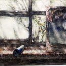 우리들수채화미술학원 이미지