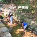편백숲하우스울산 | 울산 편백나무숲 아이랑 가볼만한곳 숲체험 도롱뇽 가재 관찰