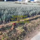 별별공인중개사사무소 이미지