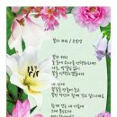 쎄시봉라이브 이미지