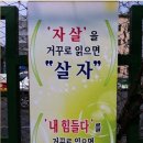 반전