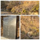 대청호오백리길 대청로하스길 | 대청호 오백리길 21구간(대청로하스길) 도보여행