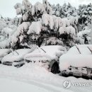 설악산의 환상적인 설경, 설국으로 변한 경포해변 外 - 오늘의 포토소식 이미지