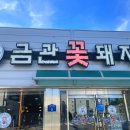 금관꽃돼지 이미지