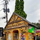 봉선부엉이체험마을 | 유후인 플로랄빌리지 입장료 가격 시간 화장실 부엉이 유노츠보거리