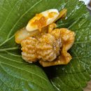 성일 | 부산 꼼장어 맛집 성일집 내돈내산 솔직후기