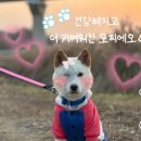 이룸외과동물병원 이미지