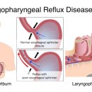 뉴연세의원 이미지