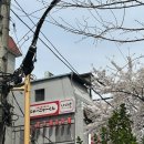 솥밭2길 | [서울/홍대] 냐냐쿤 홍대 이자카야