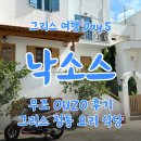 정통식당 | [그리스] 낙소스 카페와 정통 요리 식당 추천, 우조 마시고 개취한 후기