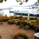 바다소식 이미지