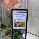 판교 현대백화점 팝업 카도라베이커리 + 판교 가볼만한 전시회 추천
