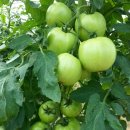 용범농장 이미지