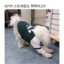 정직한교육 이미지