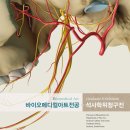 인천가톨릭대학교 일반대학원 이미지