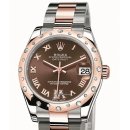 에버로즈 이미지