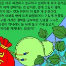 도장 이미지