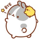 더페이스샵운남점