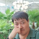쌈도둑 이미지