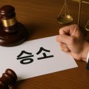 변호사, 잘하는 변호사 후기, 사법시험 출신 변호사를 찾으신다면 법무법인 영 서초사무소와 함께하세요.