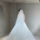 평택-W-053 | W.8 👰🏻‍♀️🤵🏻🤍 | 대구 드레스 투어 | 보네르 | 마리스포사