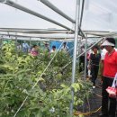 이광호농장 이미지