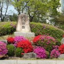 송이공원 화장실 이미지