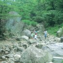 삼용상회