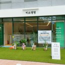 토토애견 이미지