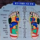 맨발걷기효능 부작용 걷기 좋은 장소 이미지