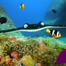 언더더씨 이미지