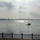 어무이쌈밥 | [목포 여행] 목포 11월/ 1박2일/ 2일차/ 에그타르트 커피창고로, 우렁쌈밥 등나무집